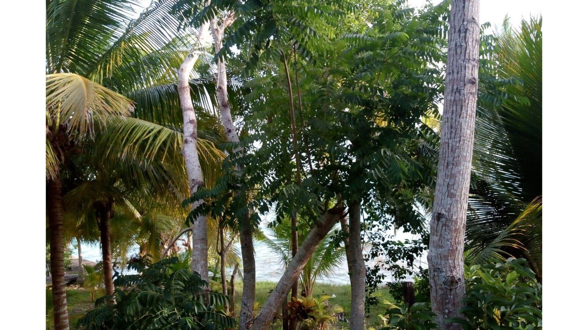 BACALAR LAGOON BUENAVISTA