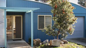 A blue building with a covered entryway, a window with shutters, and a tree with red flowers.