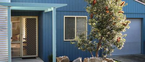 A blue building with a covered entryway, a window with shutters, and a tree with red flowers.