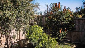 A wooden fence, a tree with orange cones, and a green bush.