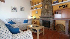 Televisión, chimenea y reproductor de DVD 