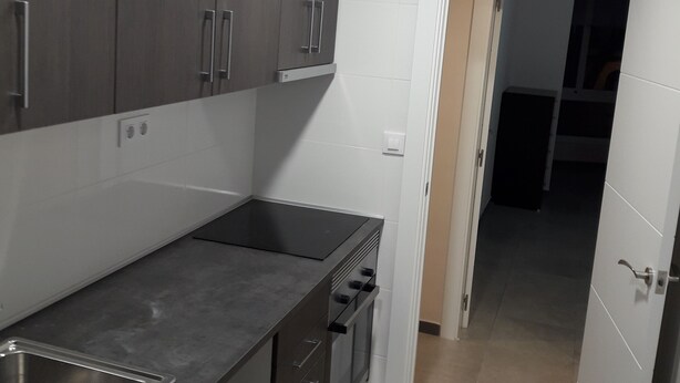 Eine moderne Küche mit dunklen Schränken, einer Edelstahlspüle und einem eingebauten Backofen.