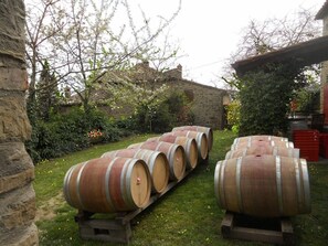 Terrain de l’hébergement 
