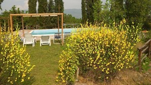 A pool area with a pergola and lounge chairs, surrounded by yellow flowering plants and tall trees.