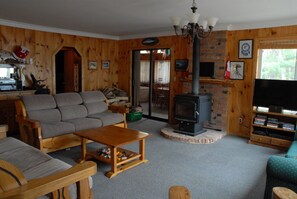 Smart TV, fireplace, DVD player, video library