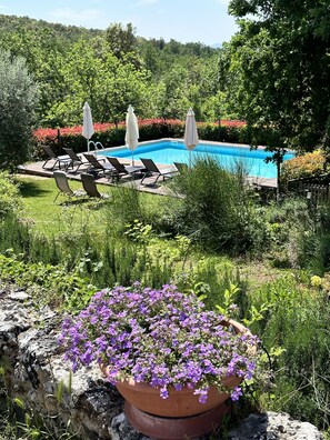 Piscina externa