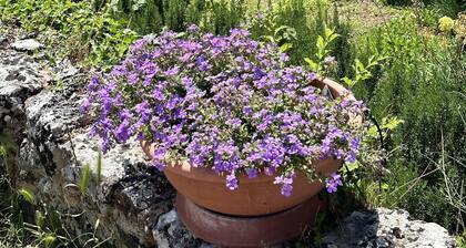 Borgo dei Fondi – Tuscan Oasis with Pool, Just Minutes from Siena