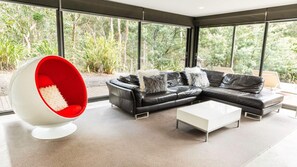 TV, fireplace, DVD player, music library