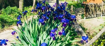 Self catering Barranco de la Salud for 4 people