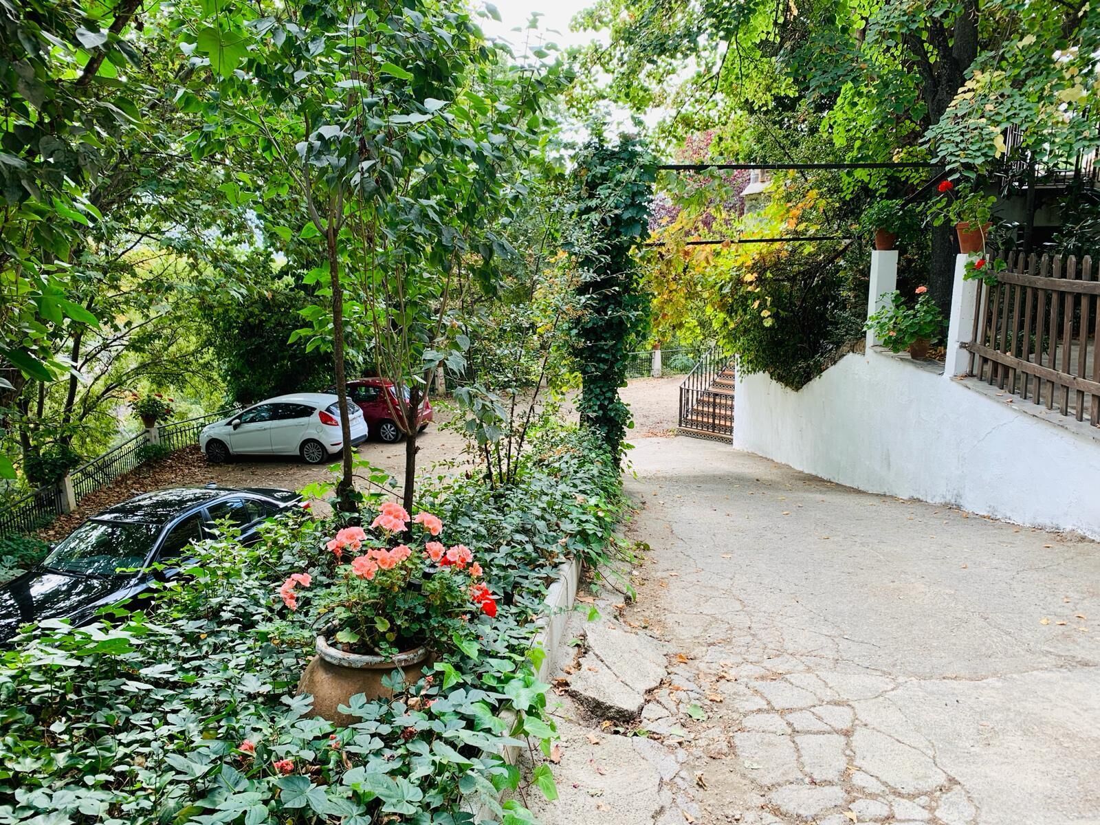 A garden pathway leading to a white building with a wooden fence and a staircase.
