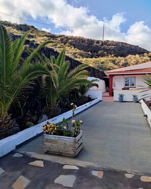 A residential area with a house, a paved driveway, and a garden with plants and flowers.