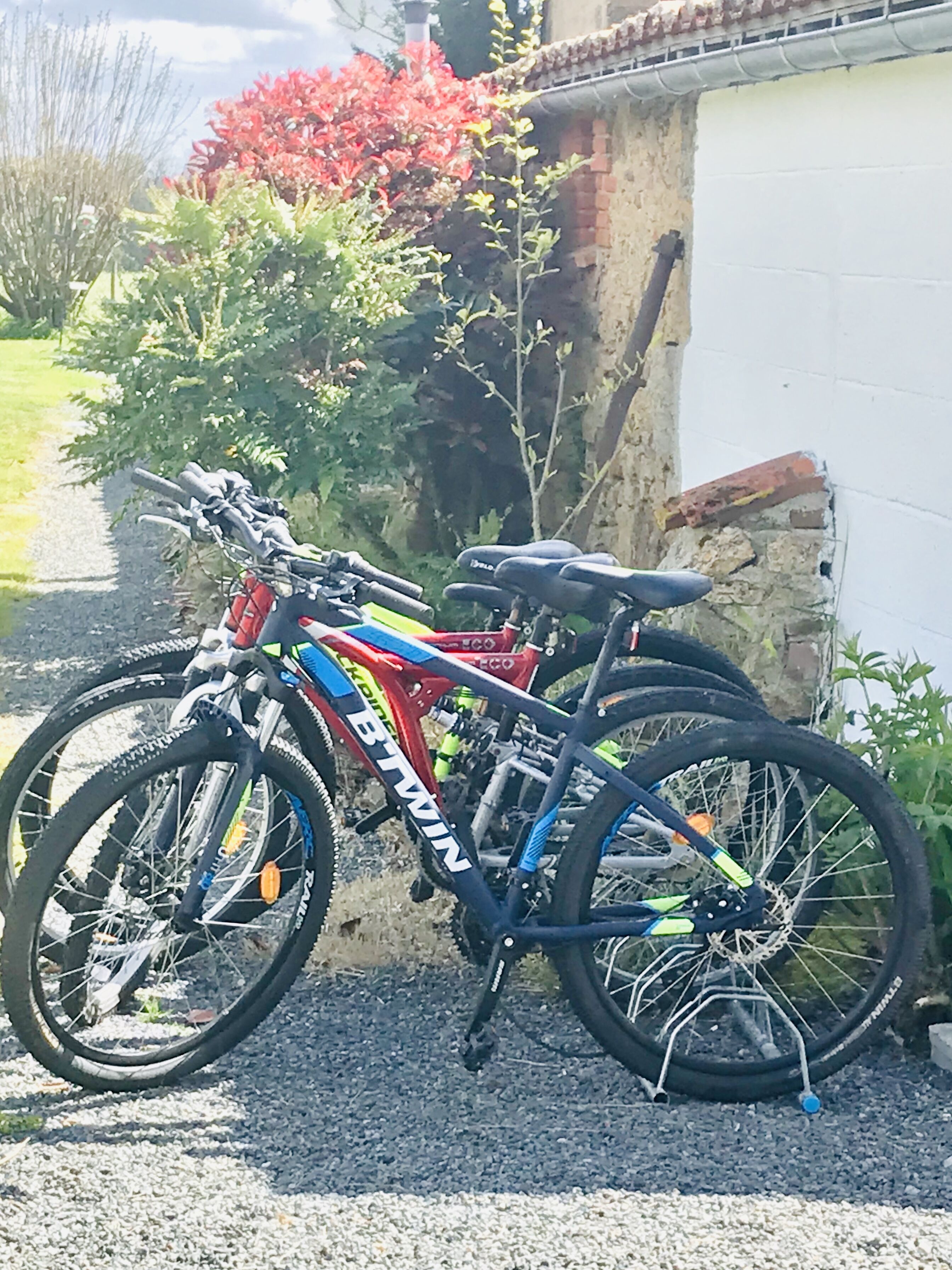 A mountain bike parked on a gravel driveway next to a house with a brick wall and a red flowering bush.