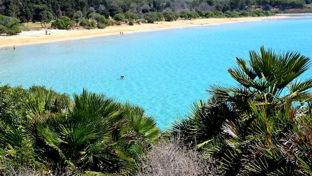 A beach with clear blue water, sandy shore, and dense greenery in the foreground. - ARIANNA 'S HOUSE WITH VIEW SEA AND WI. FI (Avola)