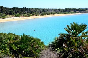 A beach with clear blue water, sandy shore, and dense greenery in the foreground.