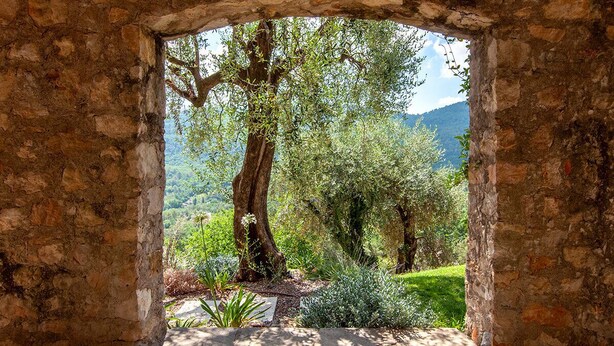 Un portail en pierre en forme d’arc donne accès à un jardin luxuriant, agrémenté d’arbres et offrant une vue sur la montagne.