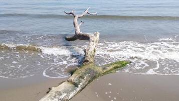 Sun-loungers, beach towels