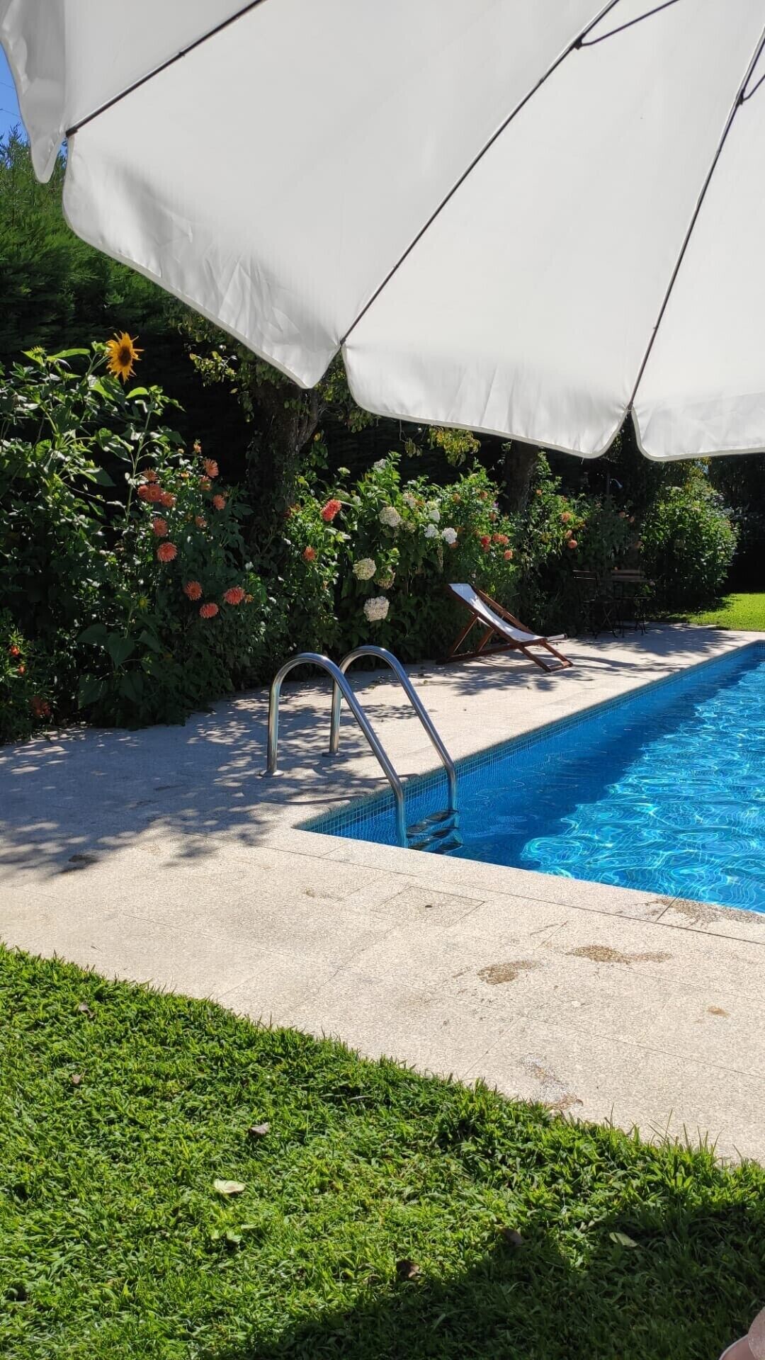 Piscina con sombrilla blanca, escalera metálica y follaje circundante.