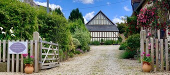 Le Bas Chesnay is a 200 year old detached farmhouse, where birds & bees sing.