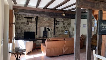 TV, fireplace, books