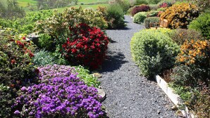 A garden pathway with various flowering plants and a wooden bench.
