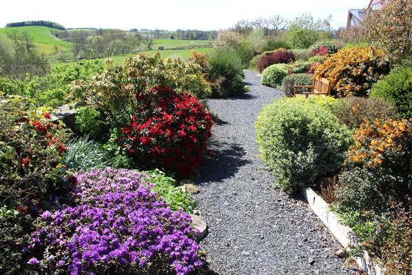 Un sentier de jardin bordé de différentes plantes à fleurs et agrémenté d’un banc en bois.