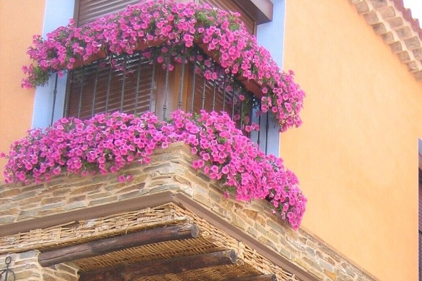 Außendetails