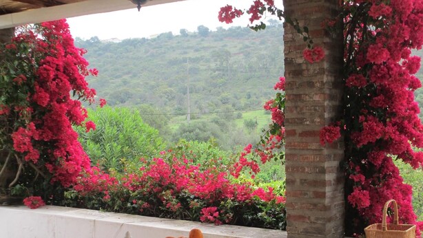 A table with a bowl of oranges and decorative items, set against a backdrop of pink flowers and a view of green hills. - Charming country house in Silves. (Silves)