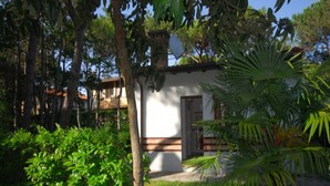 A small, single-story building with a white exterior and a brown door, surrounded by lush greenery and trees.