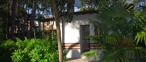 A small, single-story building with a white exterior and a brown door, surrounded by lush greenery and trees.