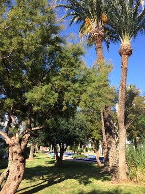 Surrounded by lush trees and a clear sky, this serene setting offers a peaceful retreat.