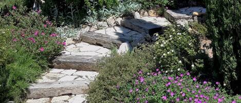 A stone pathway leading through a garden with pink flowers and green shrubs.