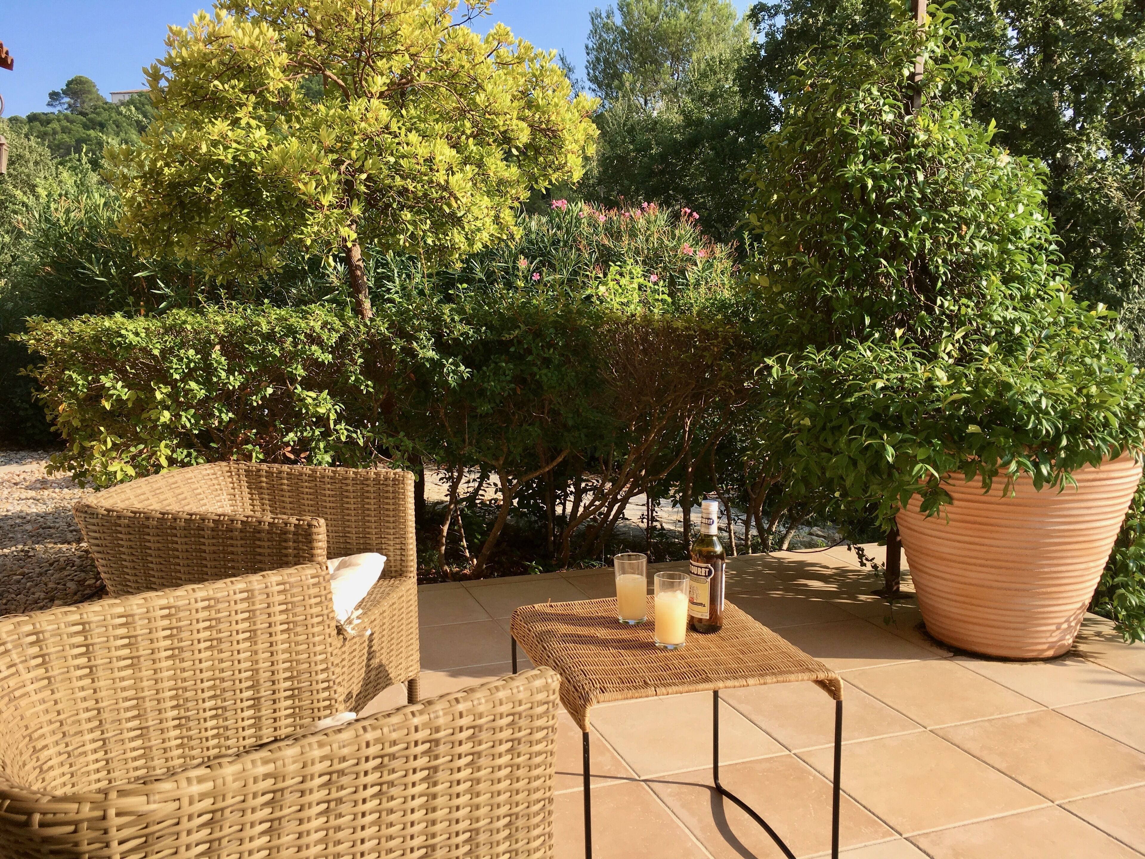 Eine Terrasse mit Korbmöbeln, einem großen Kübelpflanzen und einer Weinflasche.