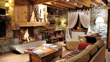 TV connectée, cheminée, lecteur de DVD, livres