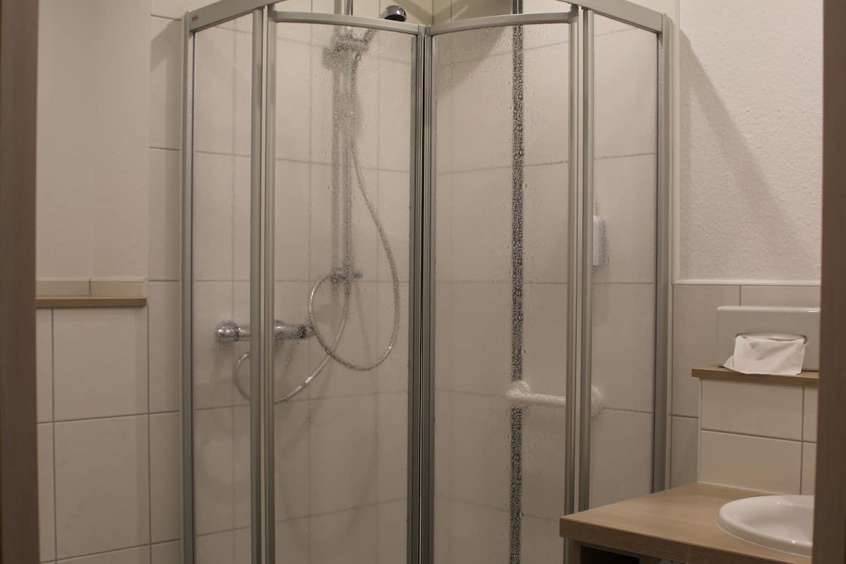 shower, free toiletries, hair dryer, towels