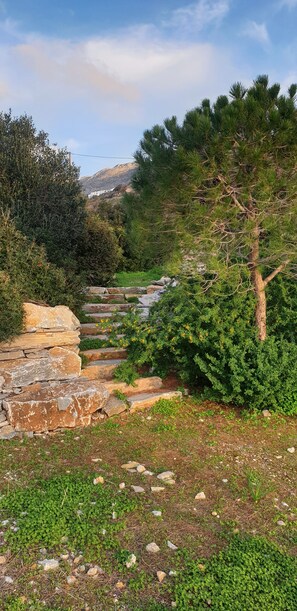 Property grounds - VILLA HANDRAS, unit 1, ULIVO (Amorgos Greece)