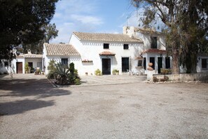 Un bâtiment blanc avec un toit en tuiles, une cour pavée et des plantes en pot.