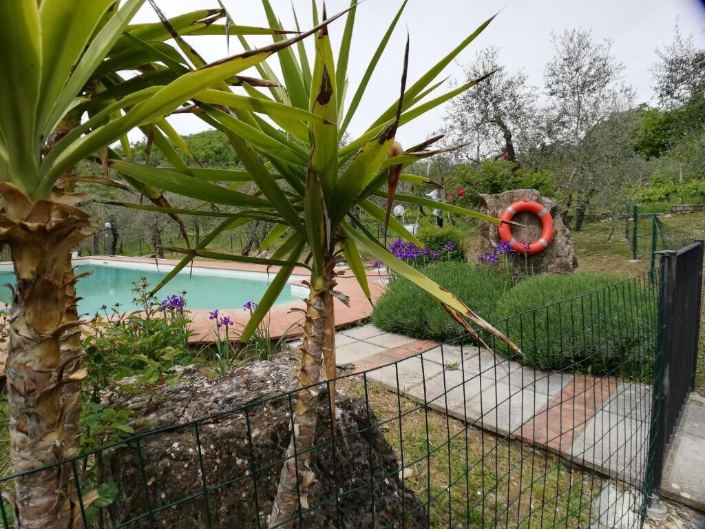 Área da propriedade