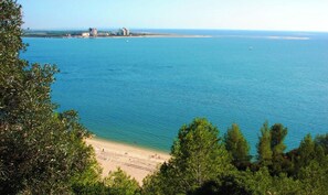 A coastal view with a beach, trees, and distant buildings.