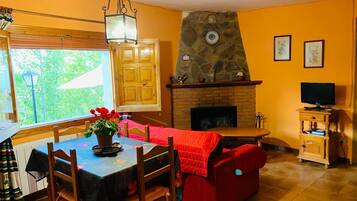 Smart TV, fireplace, books