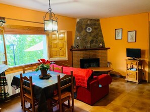 Smart TV, fireplace, books