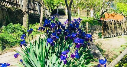 Self catering Barranco de la Salud for 4 people