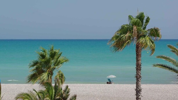 Una playa con agua turquesa cristalina, algunas palmeras y una persona sentada en una silla de playa bajo un paraguas.