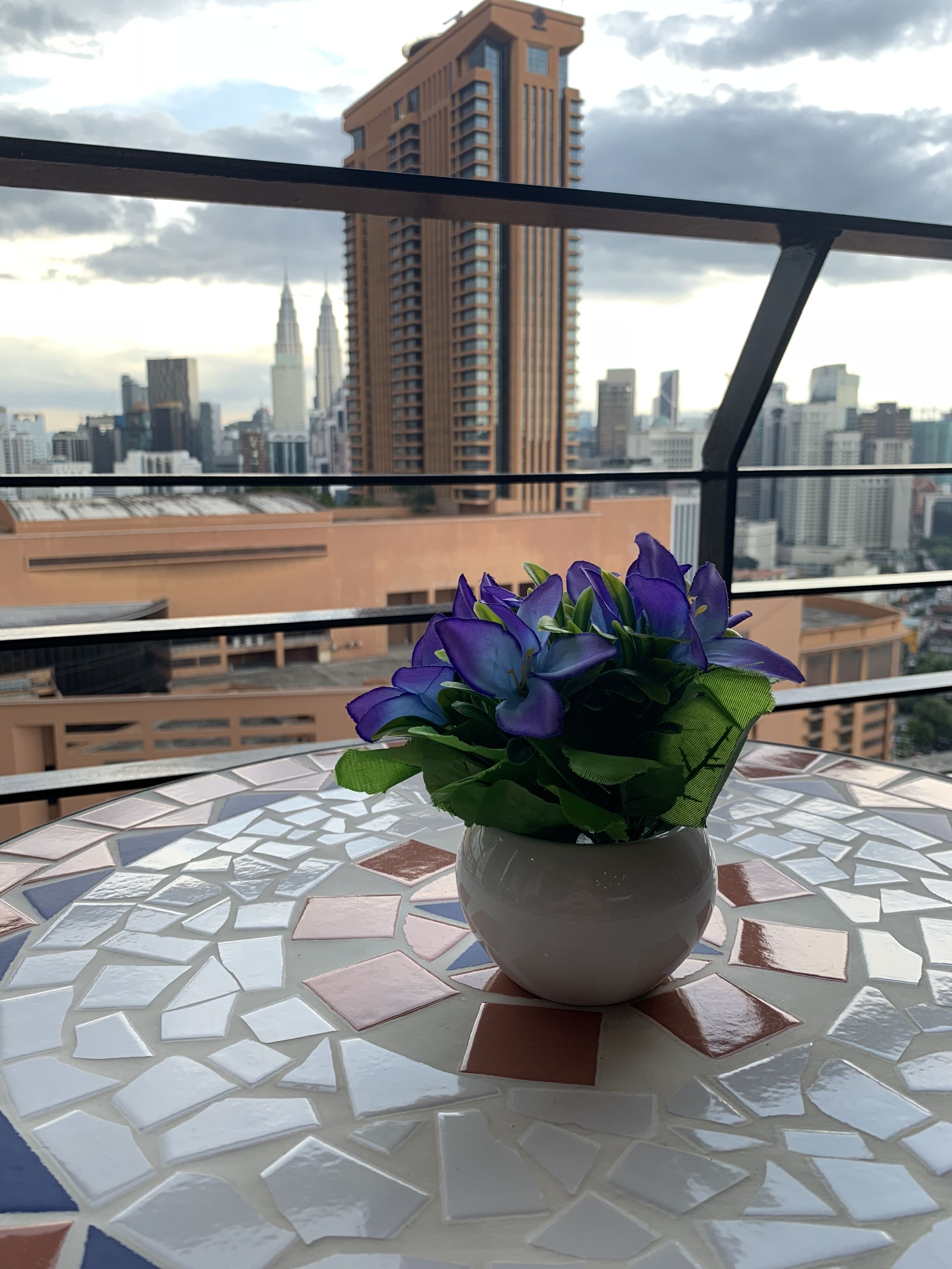 A potted plant on a mosaic-tiled table with a cityscape view through a window.