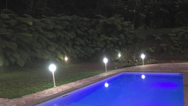 A rectangular swimming pool with a blue tint, surrounded by a brick border and a grassy area with trees. - Beautiful T3 in tropical forest with swimming pool (saint joseph)