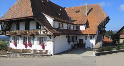 Neue moderne, luxuriöse, barrierefreie und kuschelige Ferienwohnung