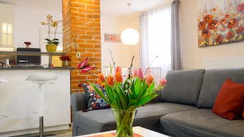 TV, DVD player, toys, books