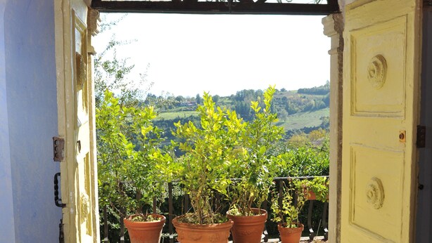 Un'apertura che dà su un balcone con piante in vaso e vista sulla campagna.