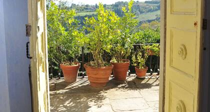 VILLA BENEDETTA, Casa Lola # 2