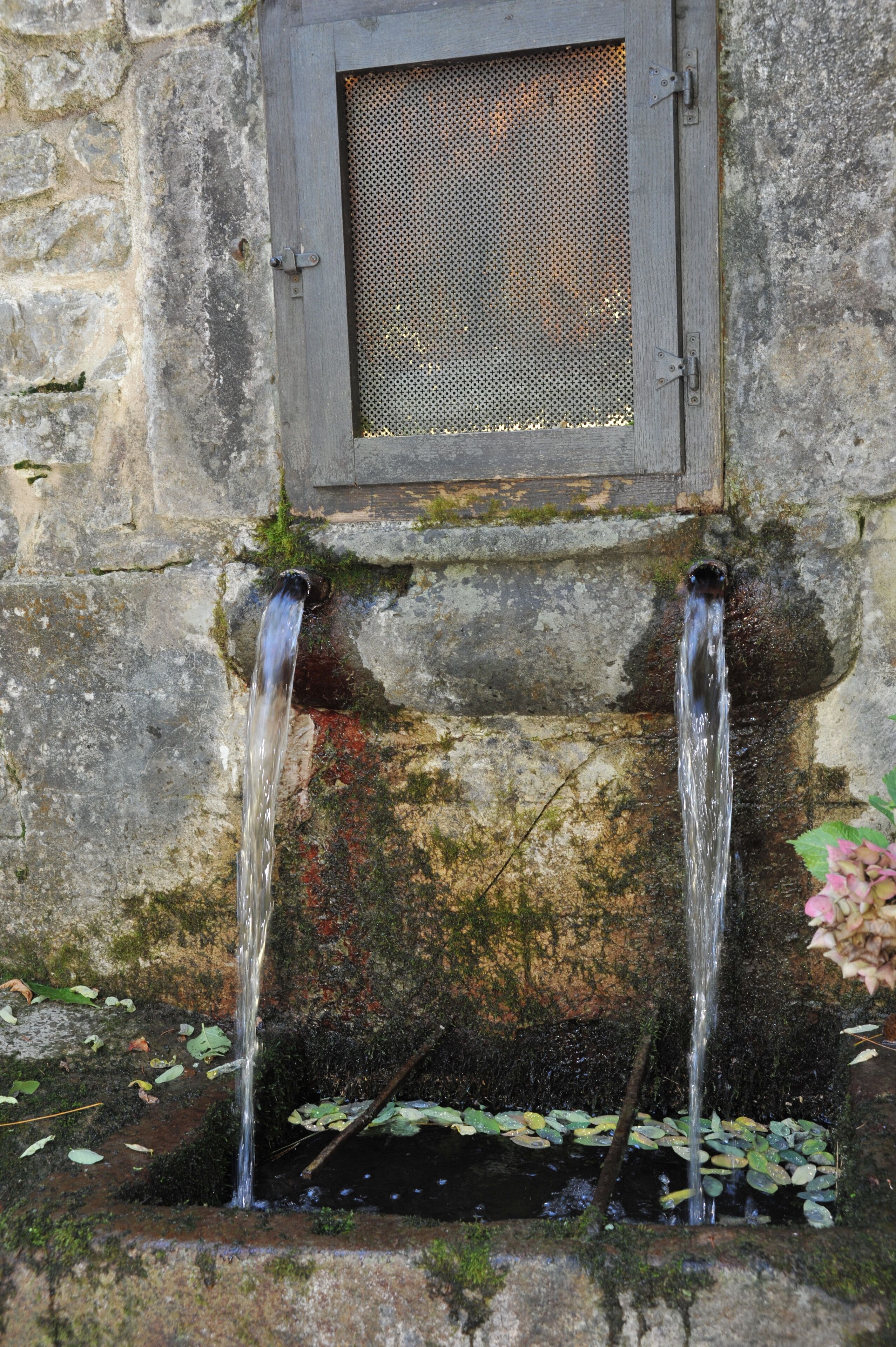 Een stenen muur met een houten deur en twee waterspuwers.
