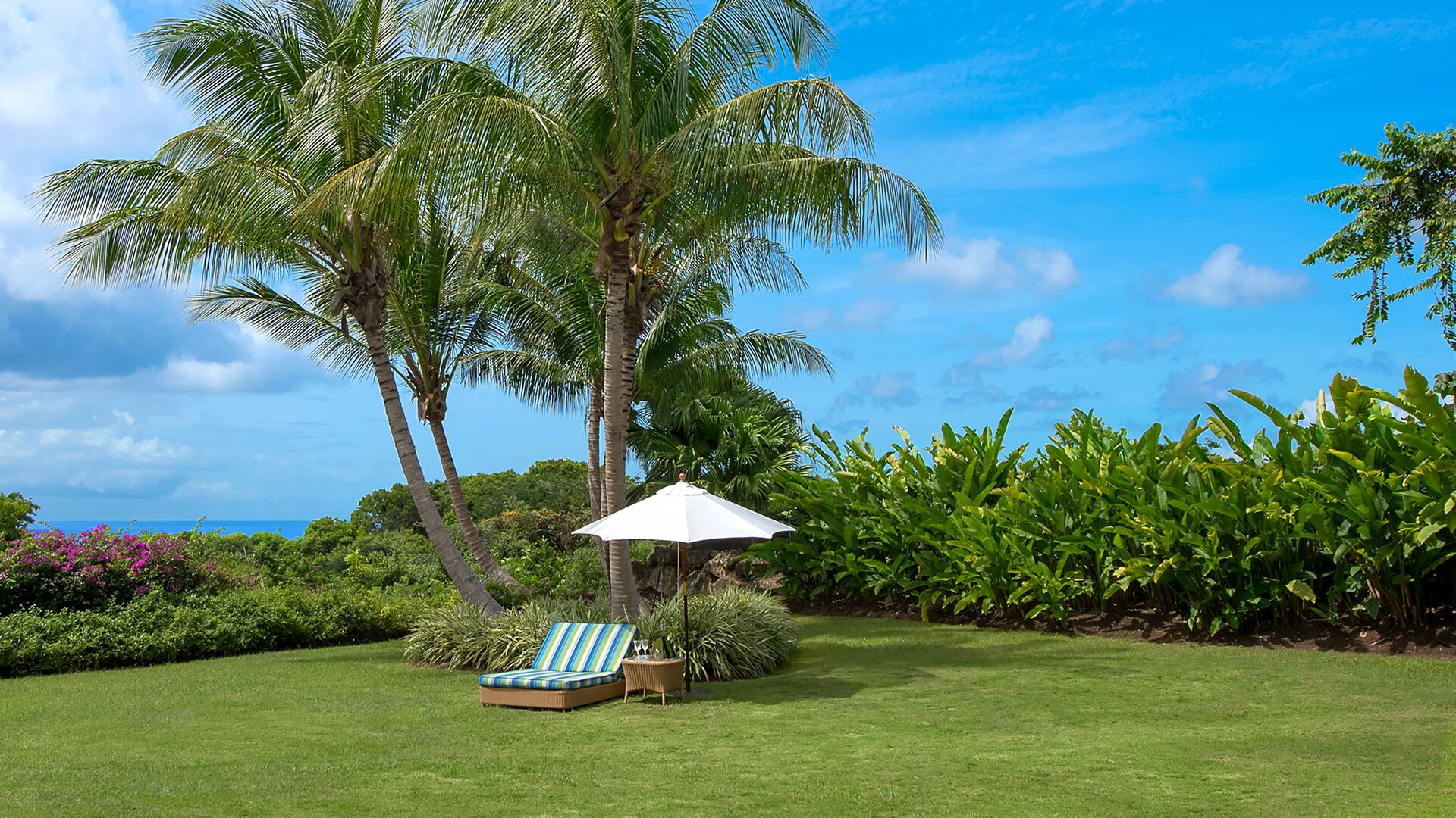 Un espacio al aire libre con césped, una silla de descanso y una sombrilla, rodeado de palmeras y plantas tropicales.